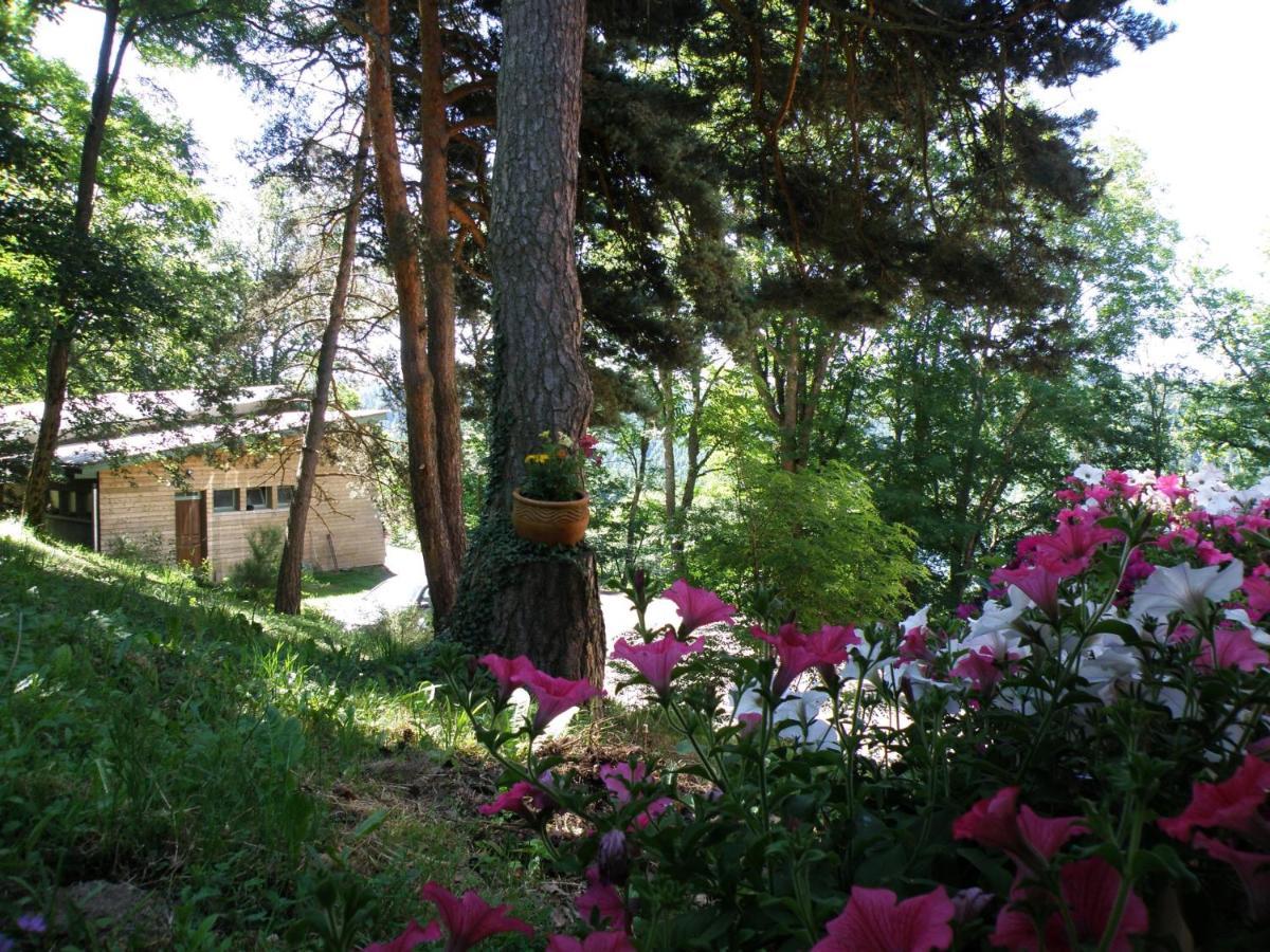 Le Grand Val Bed & Breakfast Lavastrie Bagian luar foto